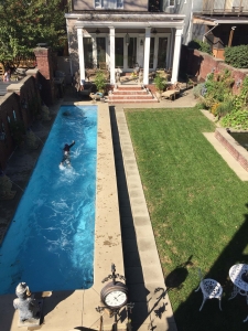 Swimming in Old Louisville